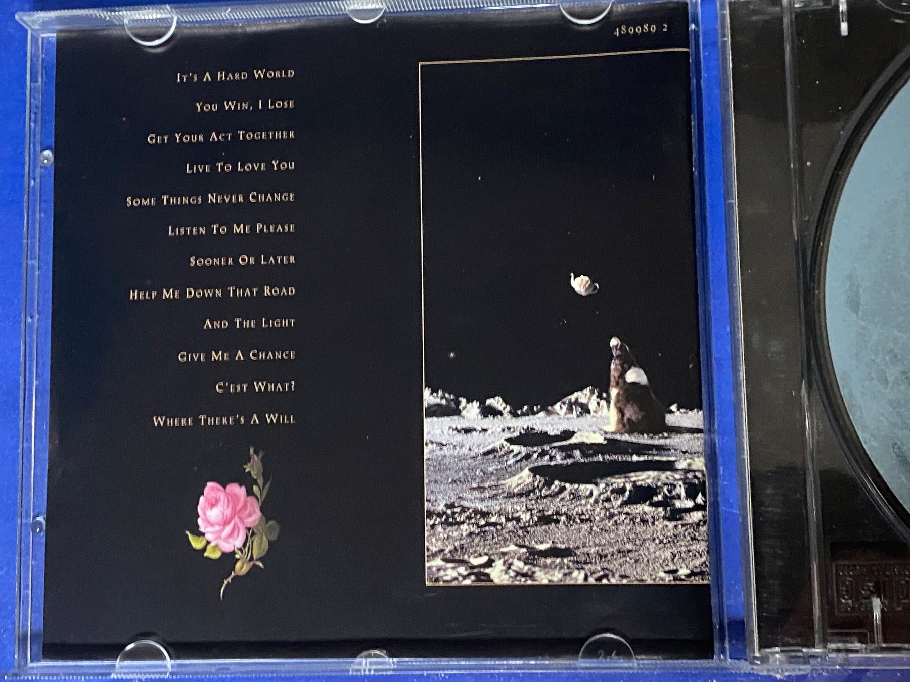 CD: Supertramp – Usato da Muri b. Bern venduto da AdidasCollector 2