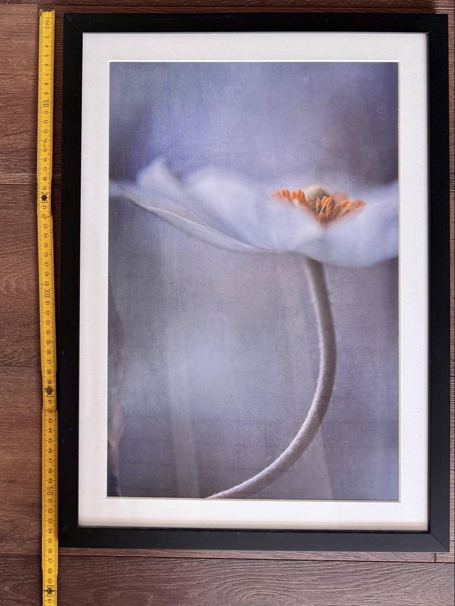 Cadres de tableaux: Junique Bilderrahmen 4er Set Holz schwarz mit Bildern Blume  – D'occasion à Dickbuch par lookandsee76 2