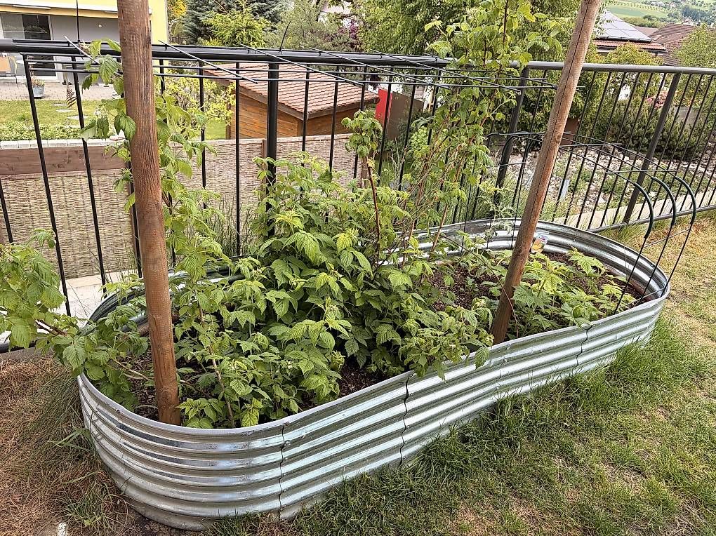 Blumentöpfe: Hochbeet Metall - 8 Meter – Gebraucht aus Gunzwil von iy61 1