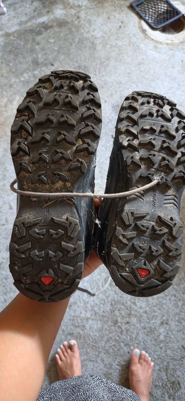 Salomon Chaussures hommes: Salomon Wanderschuhe Gore-Tex Grösse 40 – D'occasion à St.Gallenkappel. par mt23101984 2