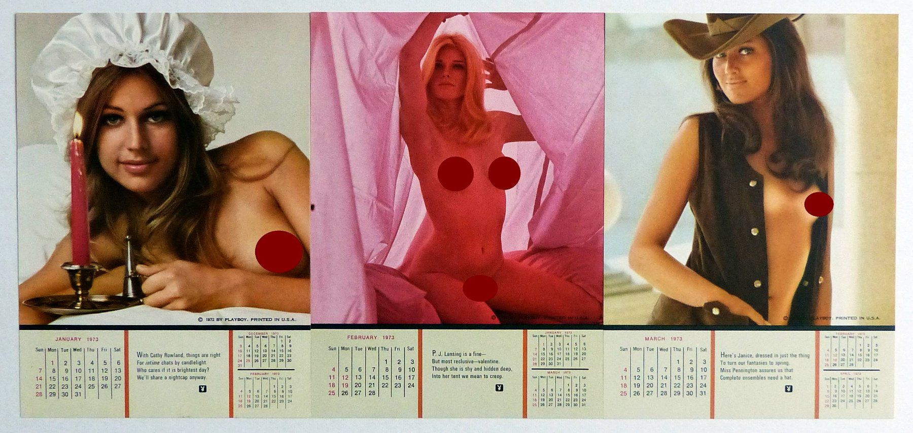 Riviste & Magazine: PLAYBOY 1973 CALENDAR ORIGINAL US RARE AND COMPLETE – Usato da Lugano venduto da YouWantUS 3