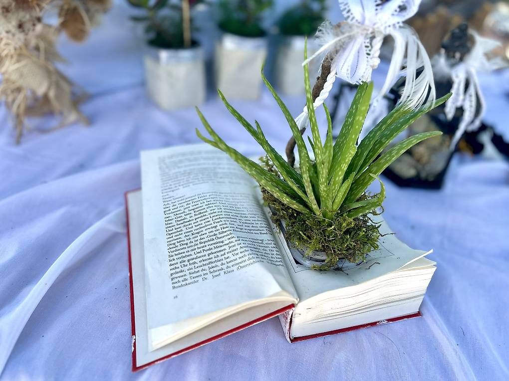 Libri: Aloe Vera im Buch  – Usato da Frauenfeld venduto da Irene.Schuppli