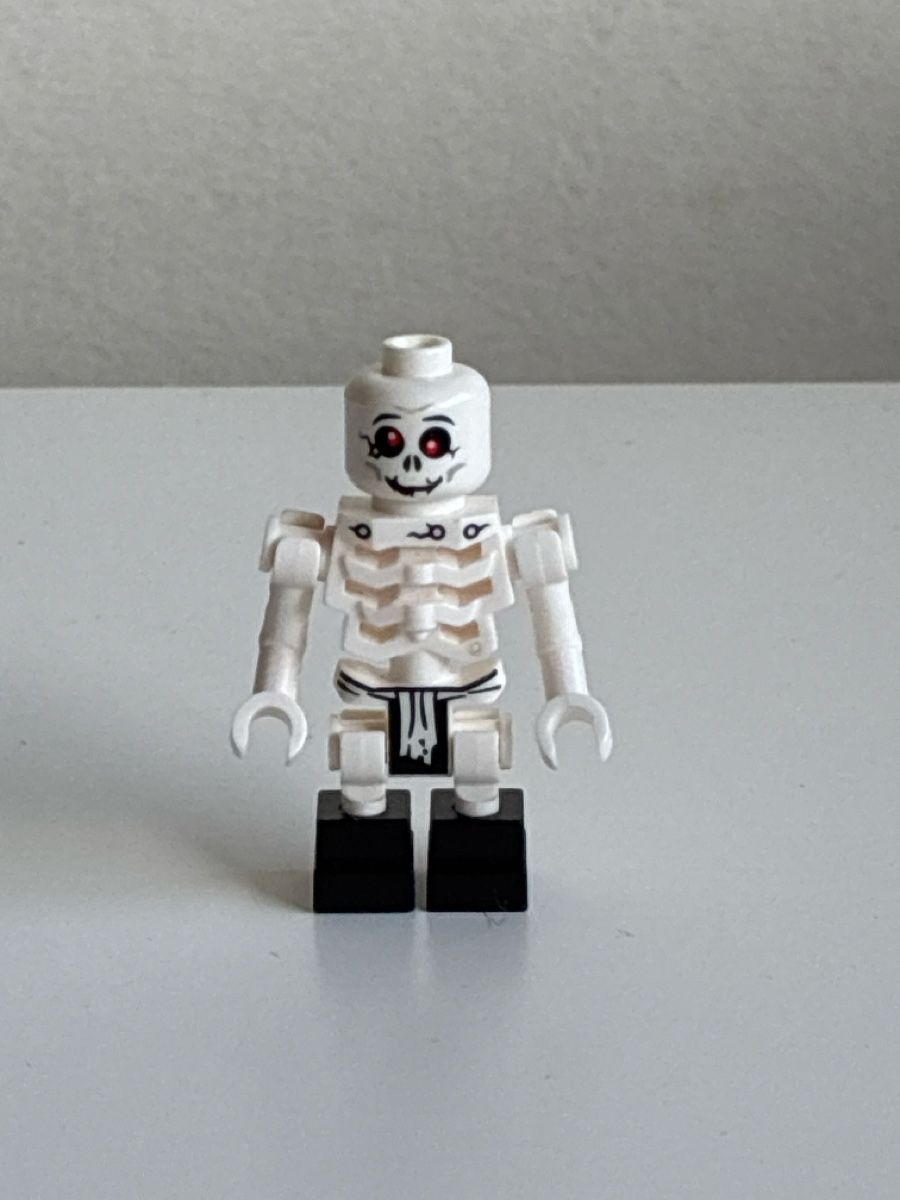 Lego Giocattoli: Lego Ninjago Skelett – Usato da Speicher venduto da spla03