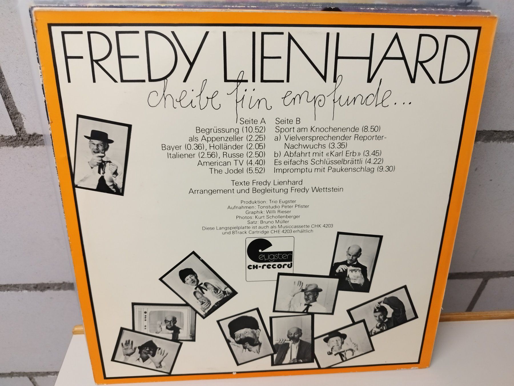 Vinyles: LP. Ab Fr 1.--  Titel  siehe Foto – D'occasion à Lupfig par fred-feuerstein