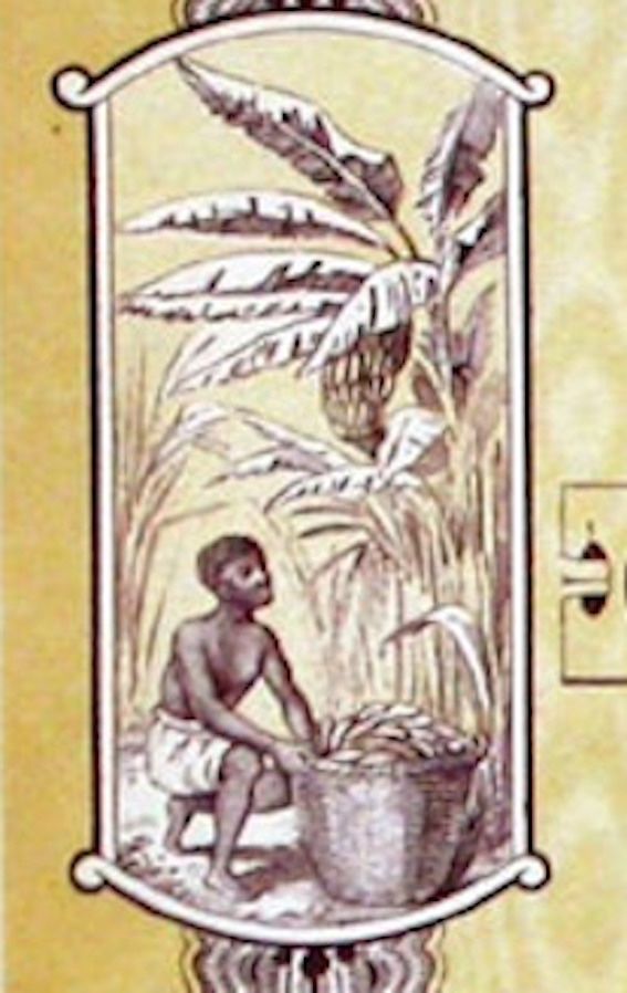 Dokumente: Plantations d'Impérie SA, Paris - 1928 – Gebraucht aus Solothurn von Sgasche 1