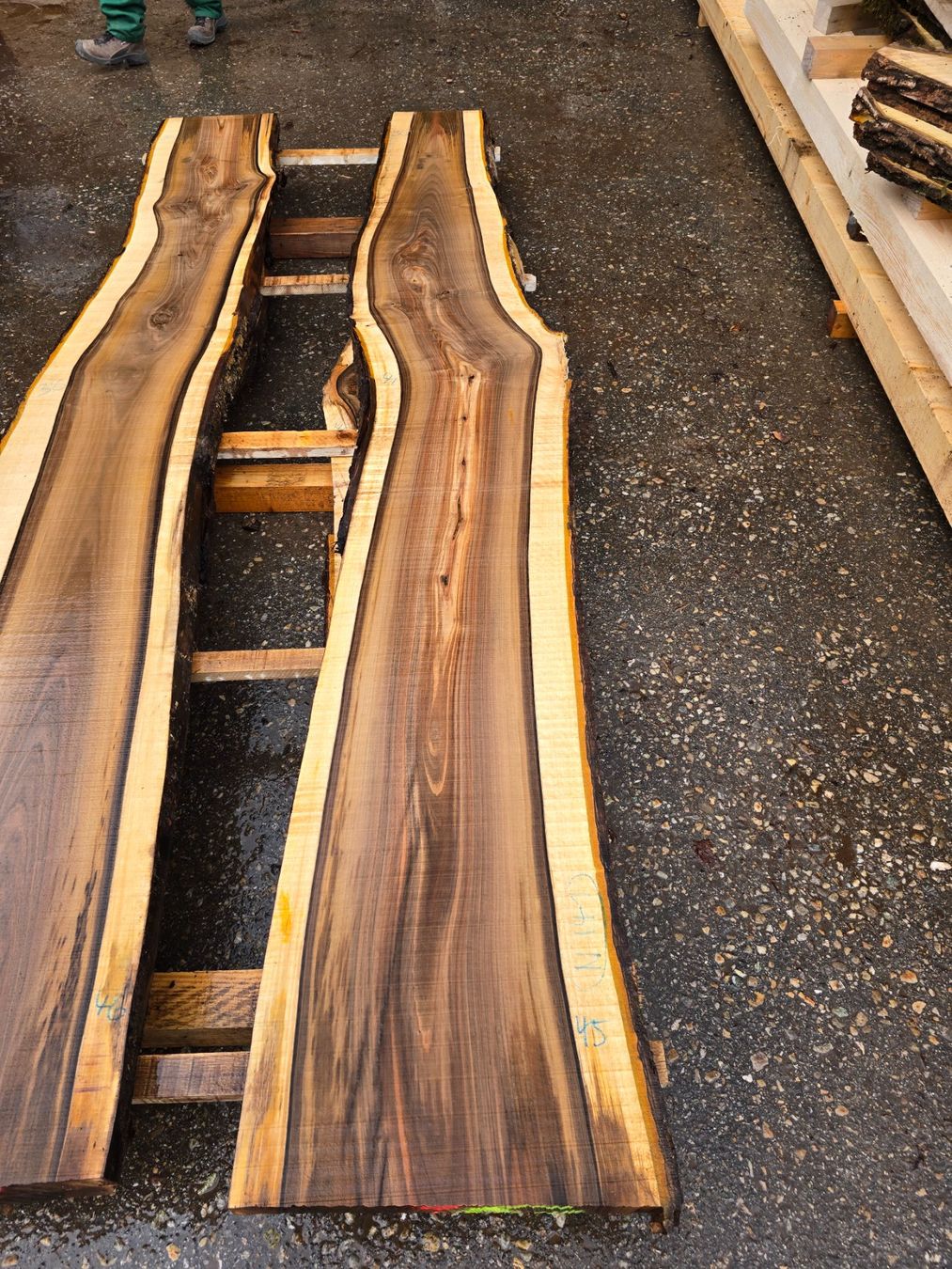 Articoli in legno: Nussbaumbrett Nr. N141 – Nuovo (secondo la descrizione) da Ramsei venduto da Waelchris