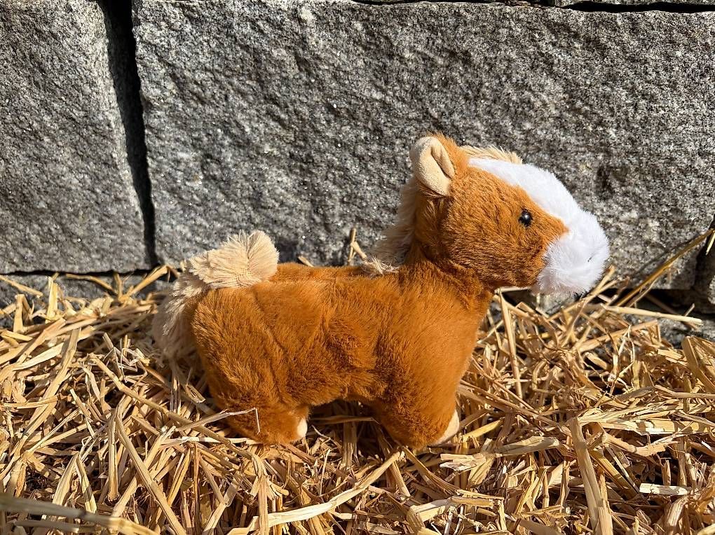 Spielzeuge: Das Pferdchen Balthasar  zum Adoptieren – Neu und originalverpackt aus Münchenstein von Zappi123 2