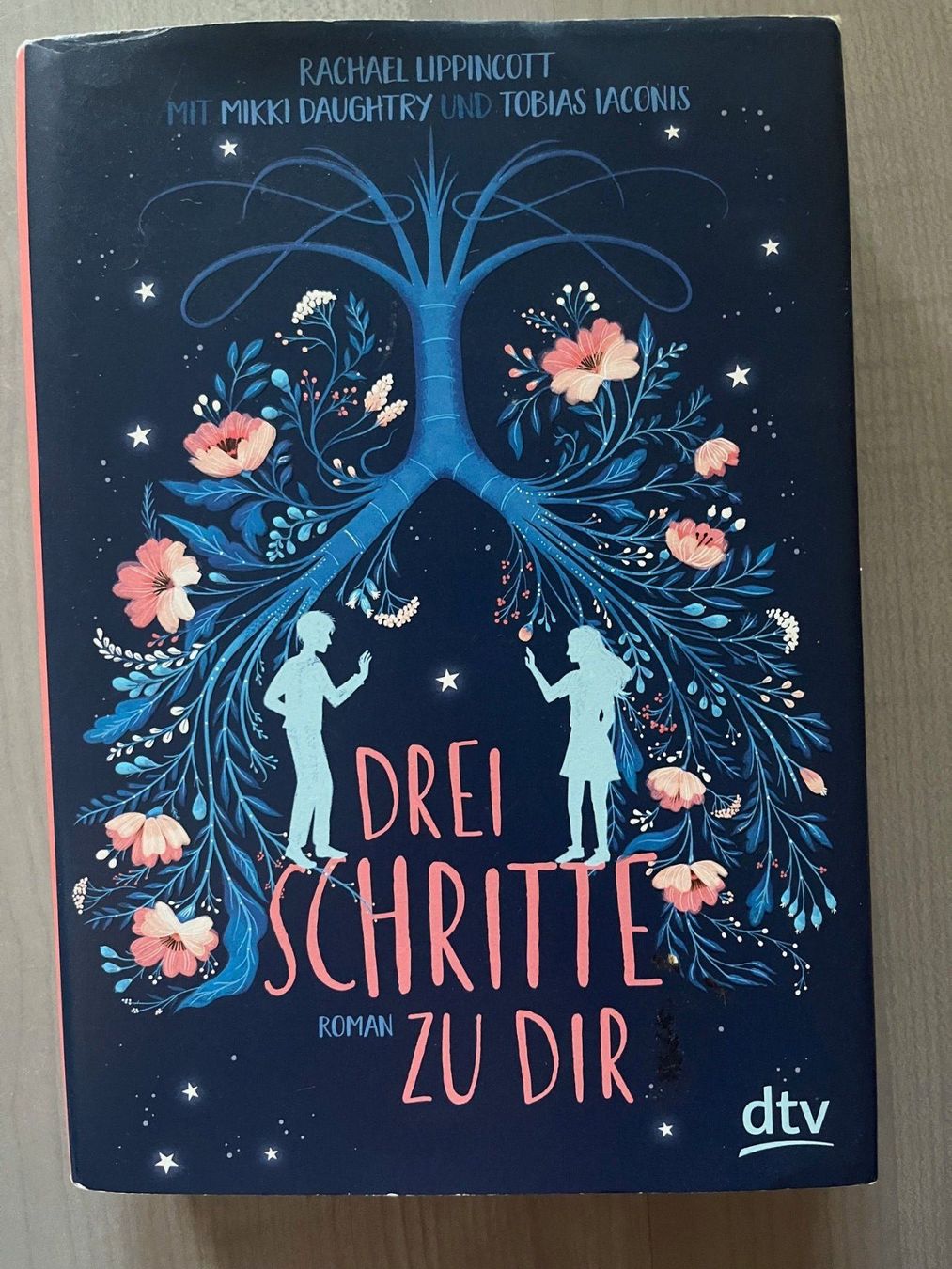 Libri: Drei Schritte zu dir – Usato da Berg SG venduto da ama_yk76