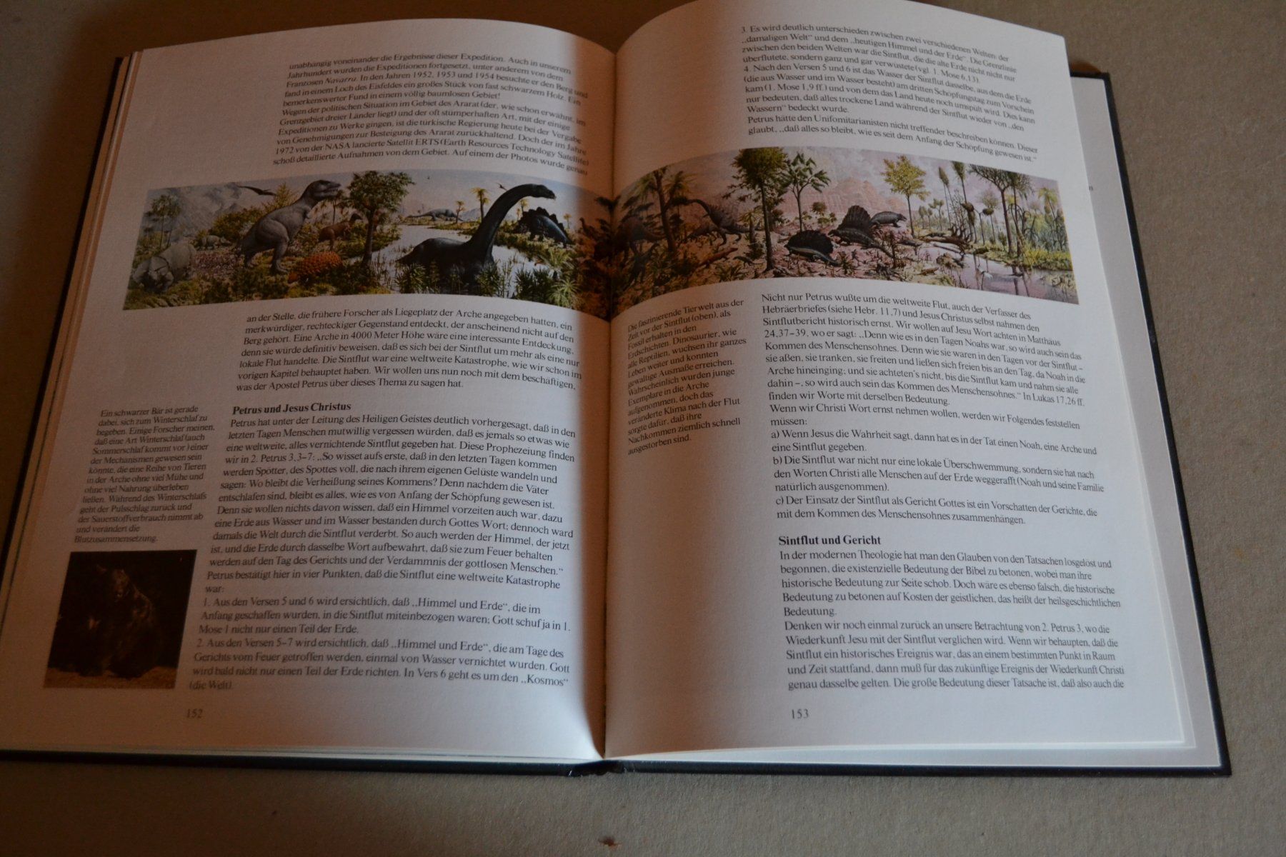 Libri: So entstand die Welt mit 175 Seiten – Usato da Beinwil am See venduto da kajak55 5
