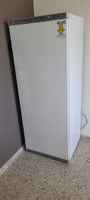 Gefrierschrank Satrap GS economic 24 weiss gebraucht