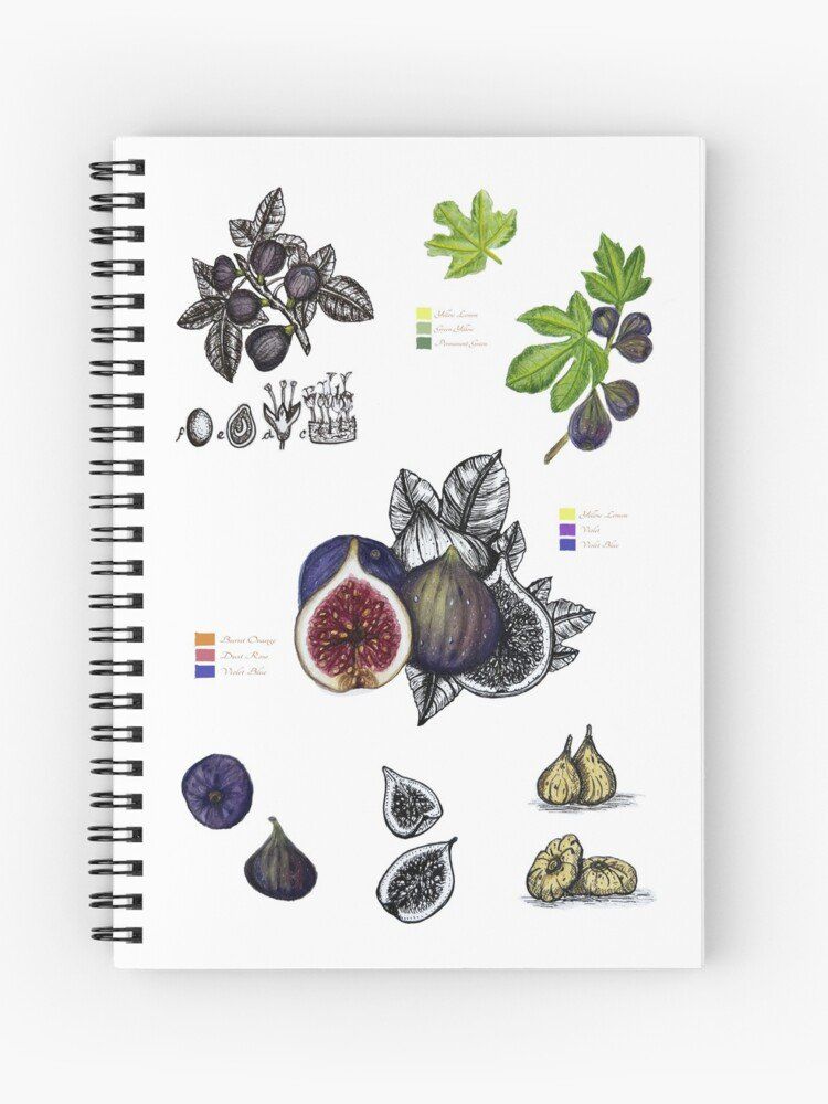 Schreibblöcke: Spiral Notizbuch Notebook von Handgemalte Botanisch Feige – Neu und originalverpackt aus Schliern b. Köniz von equilibrium1123