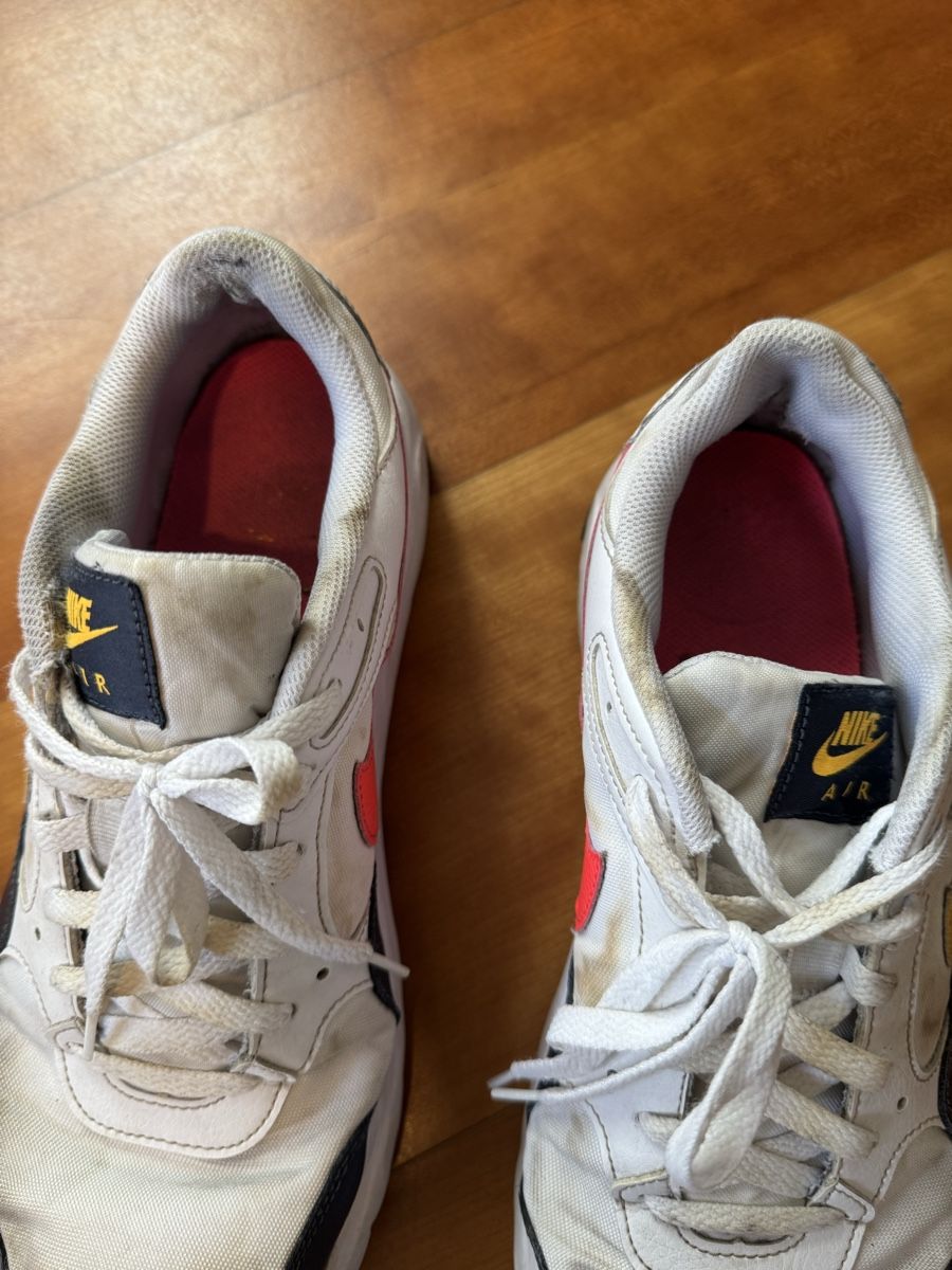 Nike Herrenschuhe: Nike Air Max Grösse 45 – Gebraucht aus Wettswil von alstel24 1