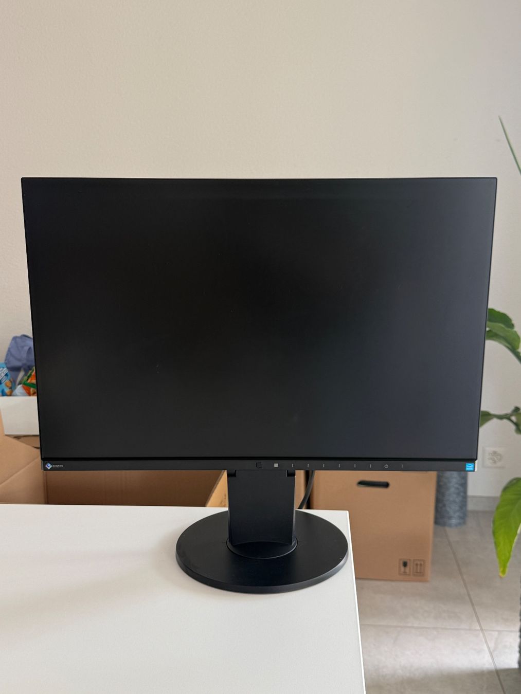 Eizo Ecrans: Monitor – D'occasion à Gempenach par ako_68zr