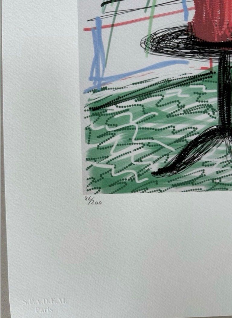Foto & Immagini: David Hockney: Untiled XXX/200 – Nuovo (secondo la descrizione) da Meilen venduto da Smgdesign 1