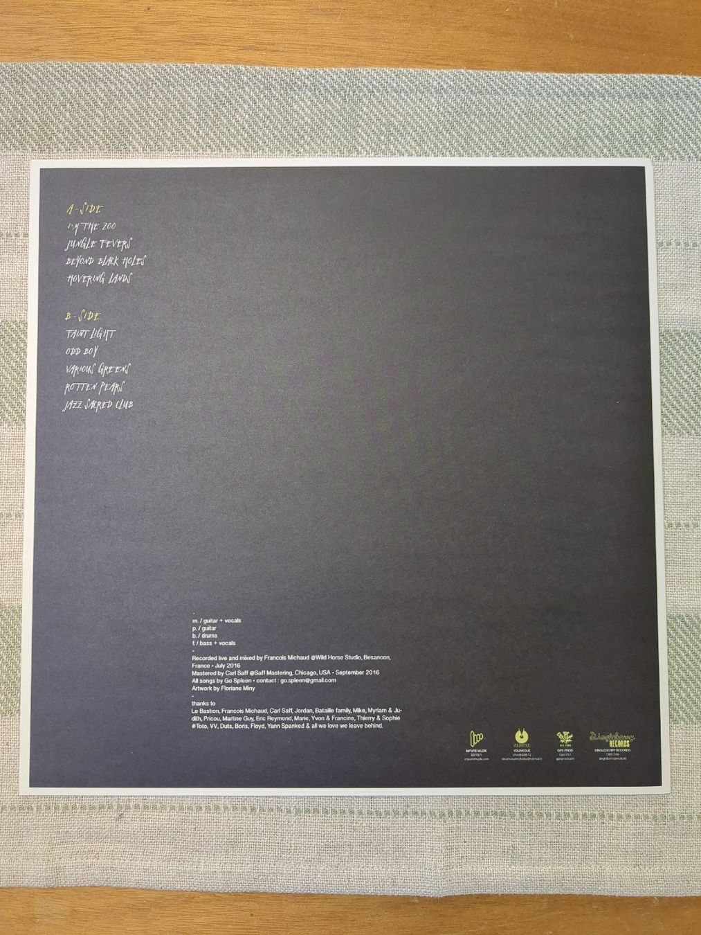 Dischi in vinile: Go Spleen - Slow Moves – Nuovo (secondo la descrizione) da Euseigne venduto da Barbichette 1