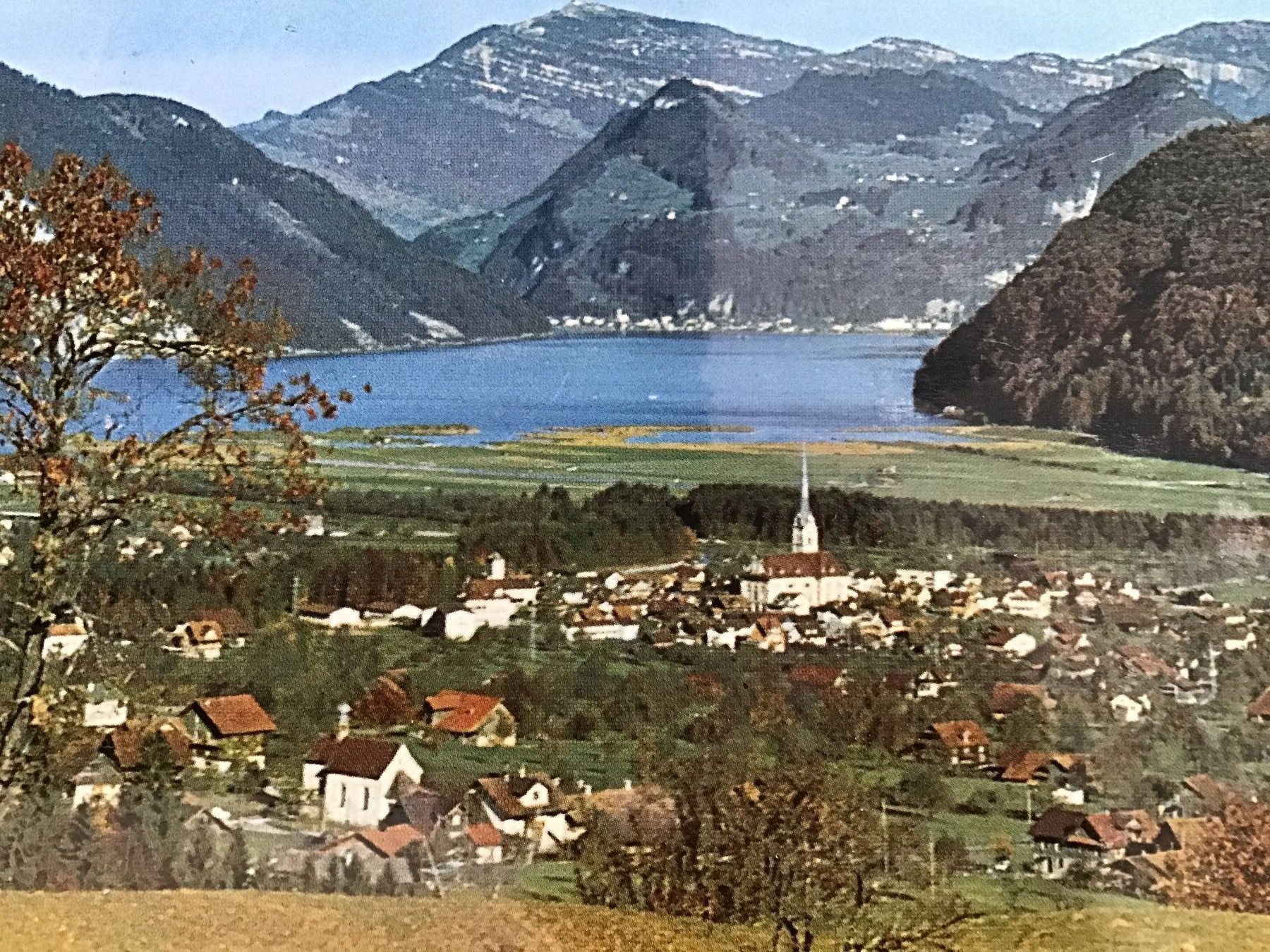 Cartoline postali: Alpnach – Usato da Thierachern venduto da sweden08