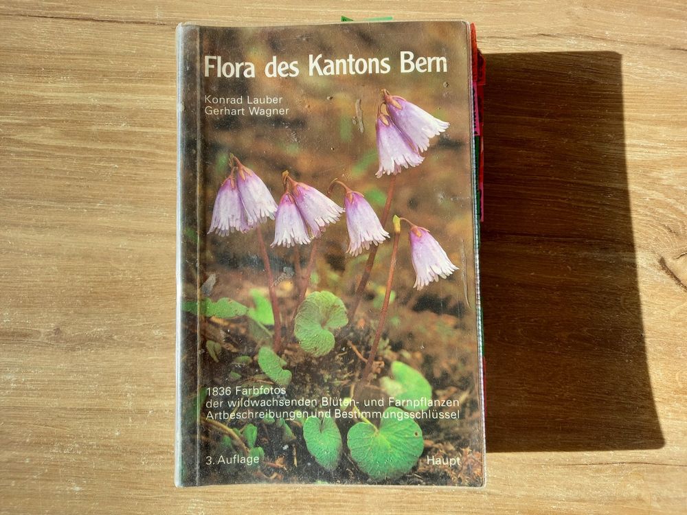 Flora Des Kantons Bern, Pflanzenbestimmungsbuch | Kaufen Auf Ricardo