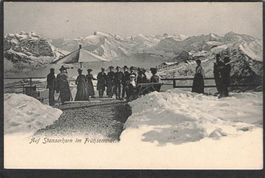 ,Auf Stanserhorn im Frühsommer,1909
