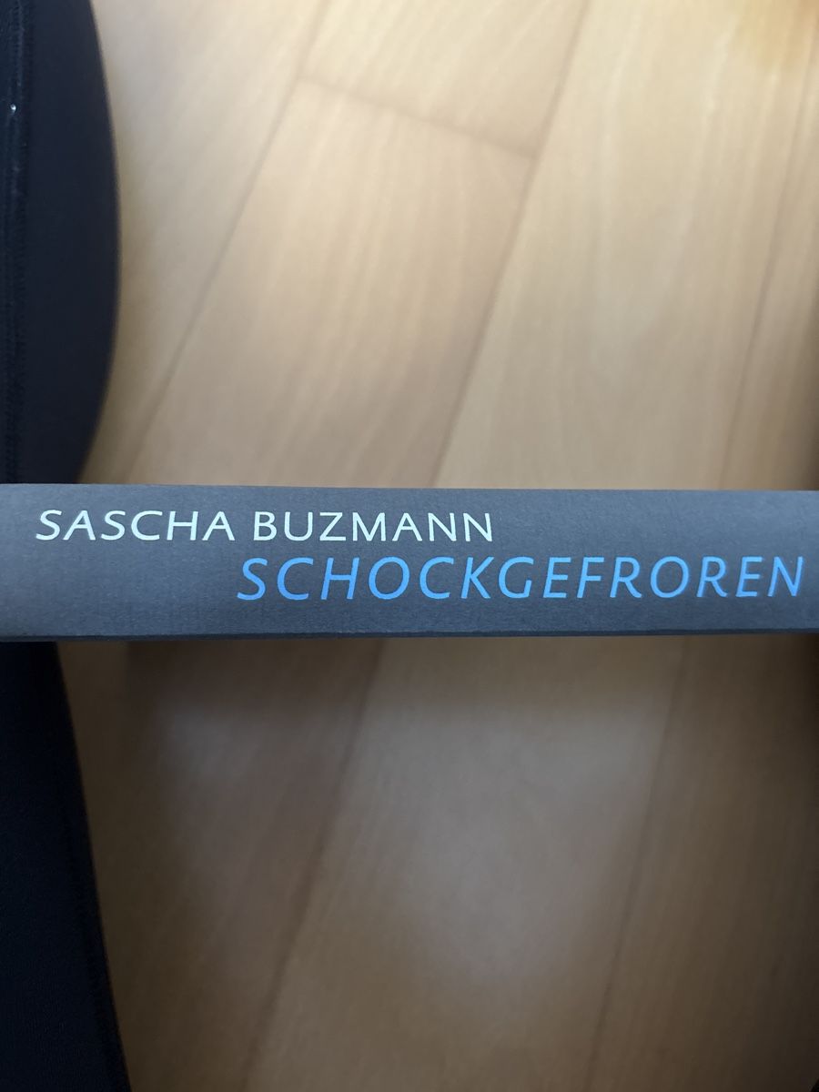 Libri: Sascha Buzmann - Schockgefroren – Usato da Zunzgen venduto da Ebnet12 1