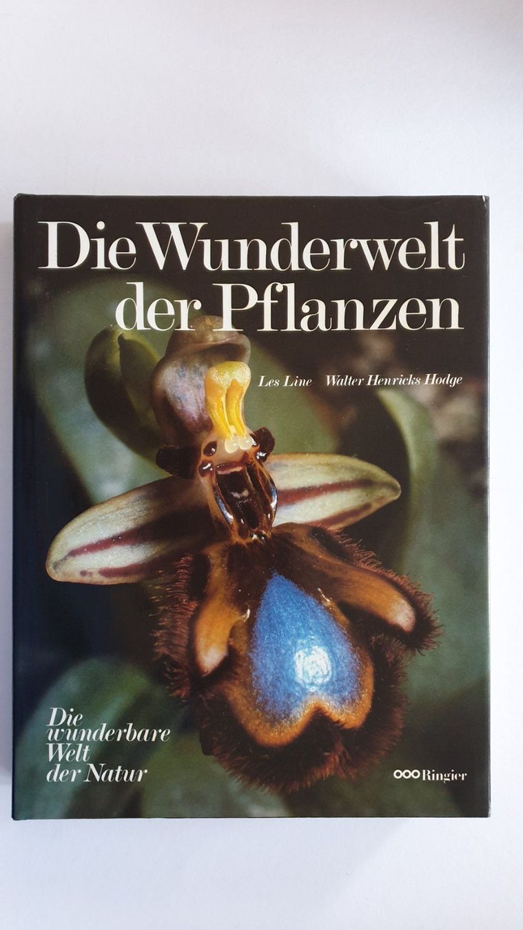 Libri: Naurbücher von Ringier – Usato da Goldach venduto da armando_r 2
