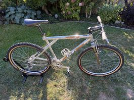 Original GT ZASKAR LE 1994 ab SERVICE