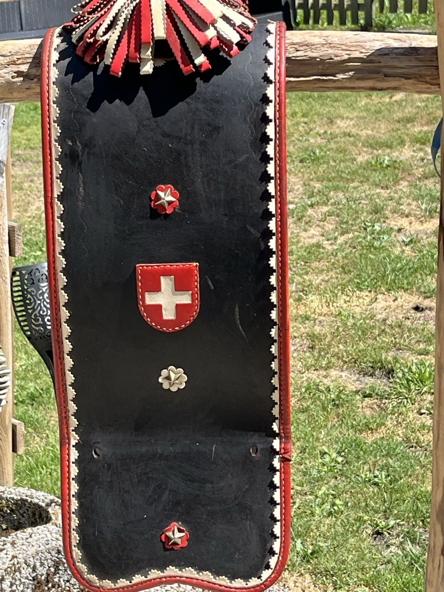Campanacci mucche: Treichel Riemen  – Usato da Wasen im Emmental venduto da weh_qg2d 1