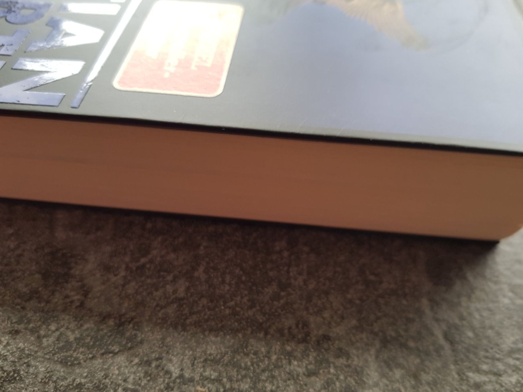 Libri: ENDZEIT / Christian V.Ditfurth / Ein de-Bodt-Thriller – Usato da Dietikon venduto da marconi07 2
