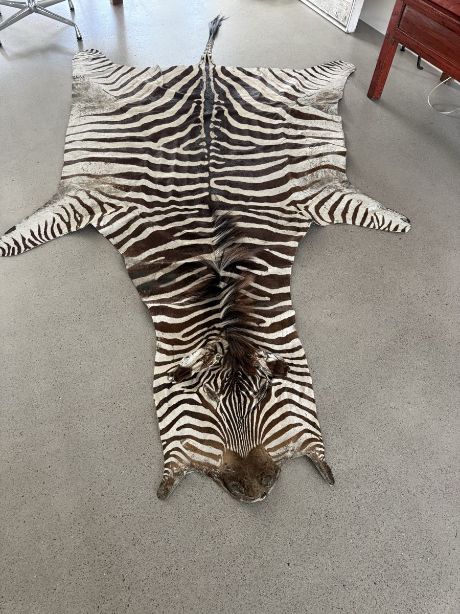 Tappeti: Zebrafell echt, Burchel – Usato da Richterswil venduto da Solemare47Nicole