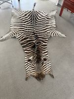 Zebrafell echt, Burchel