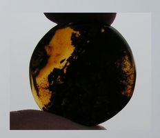 ♥ Baltischer Bernstein BROSCHE / GESCHNITZT / 24 MM ♥