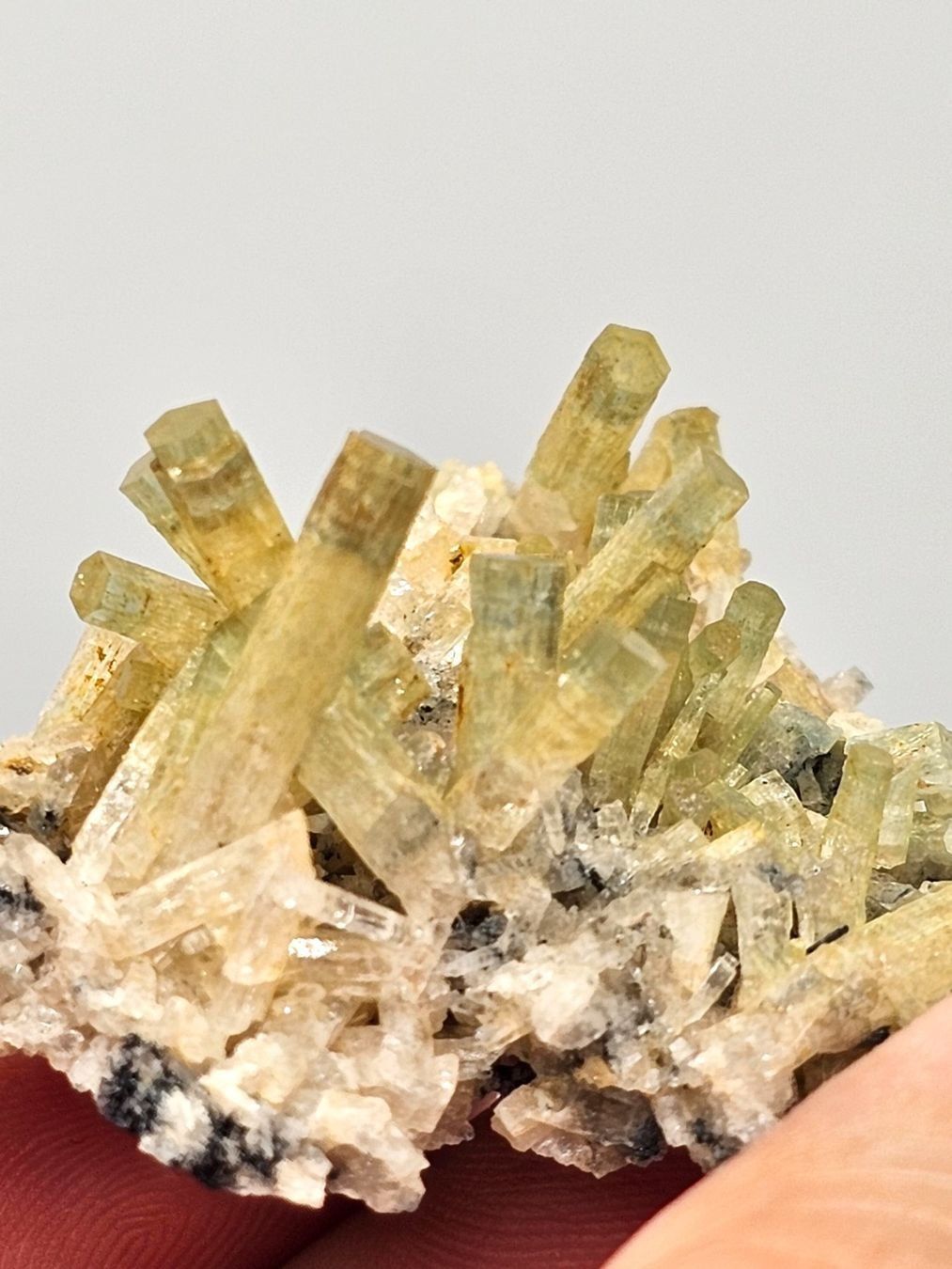 Mineralien & Heilsteine: Heliodor/Aquamarin mit Turmalin aus Namibia. – Gebraucht aus Figino von minshop 1
