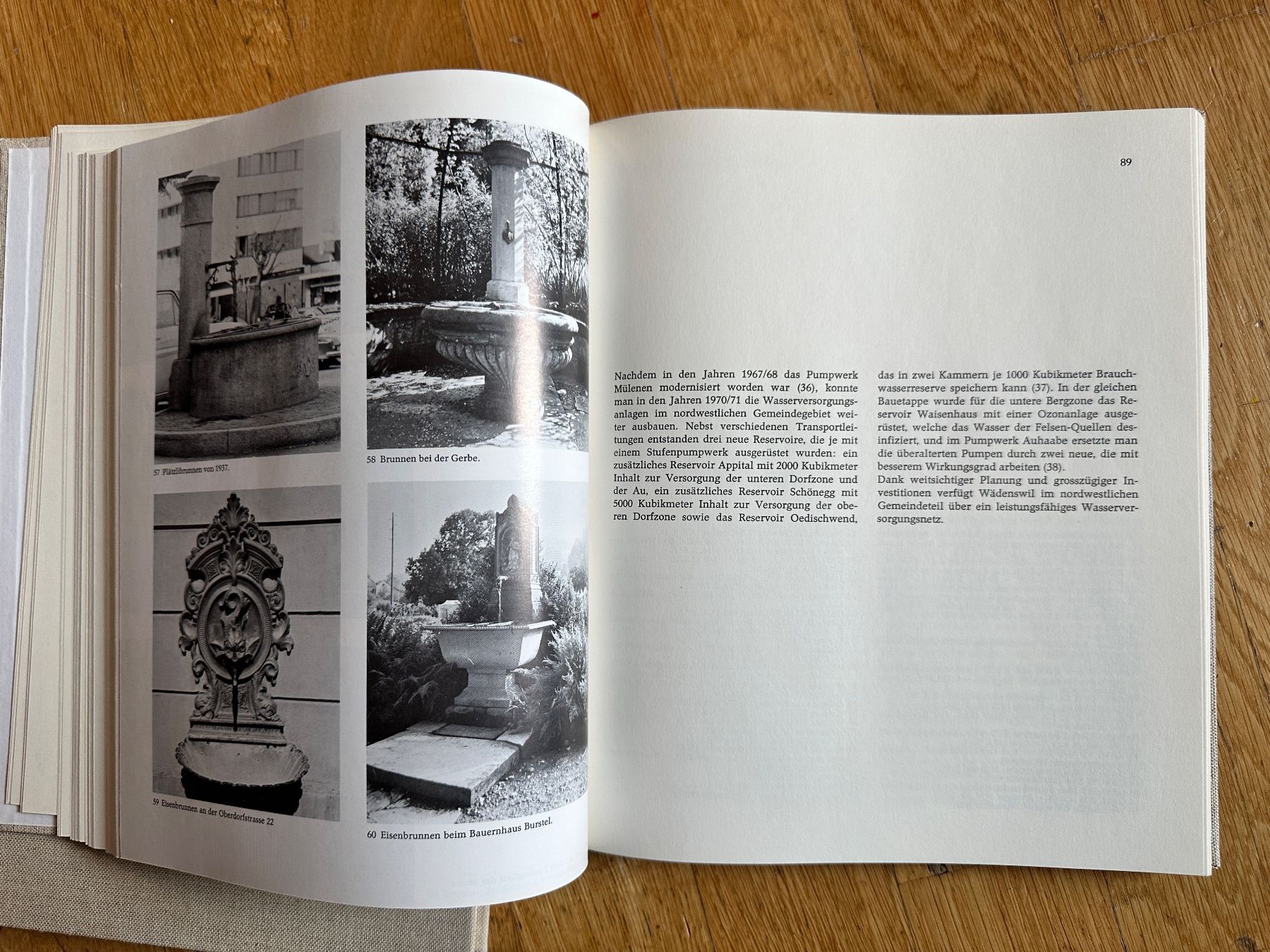 Libri: Peter Ziegler: Wädenswil. 2 Bde. – Usato da Zürich venduto da allp 9