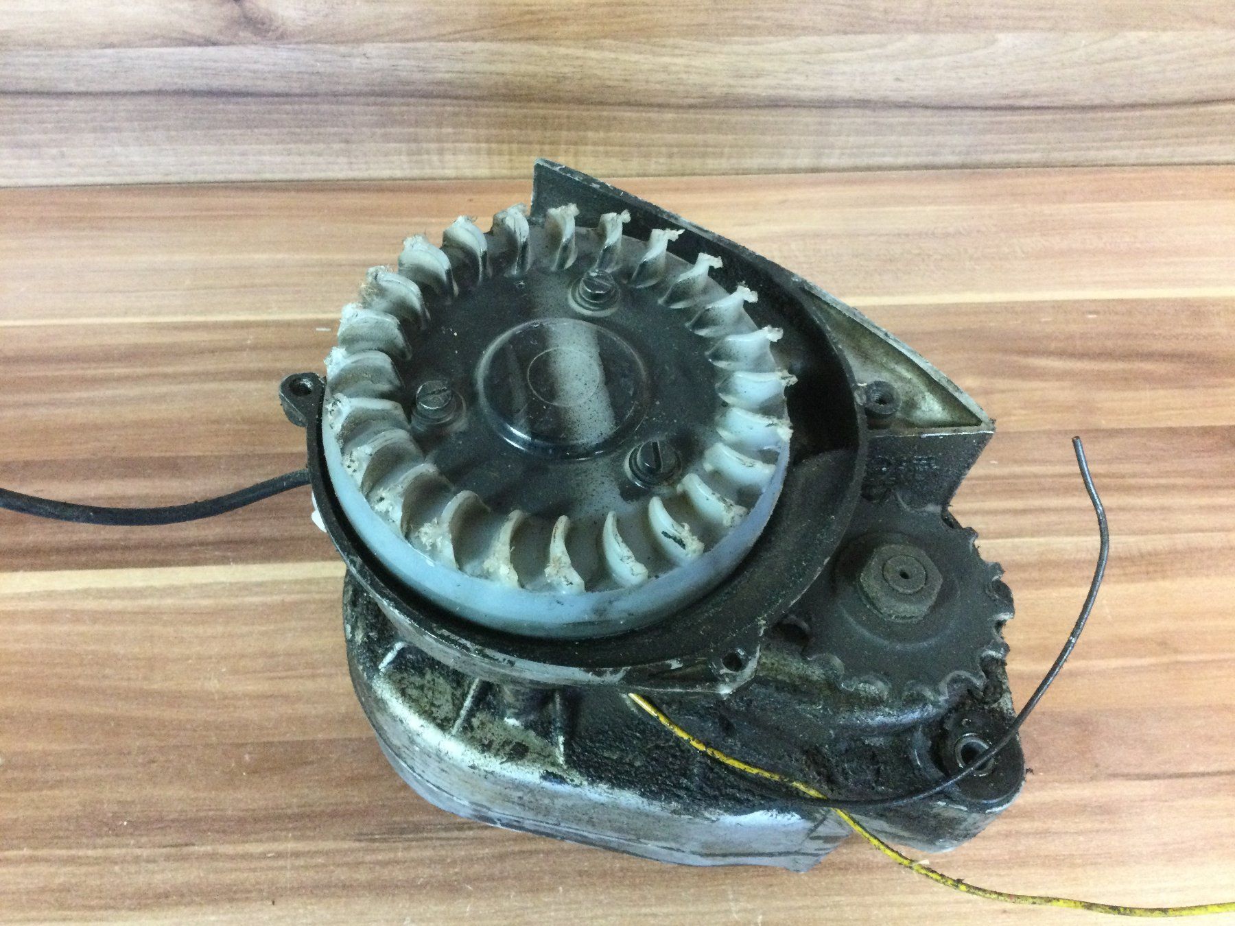 Sachs Ciclomotori: Gebrauchter Sachs Automatic Motor 503 – Usato da Wangen SZ venduto da kuriosum12 7
