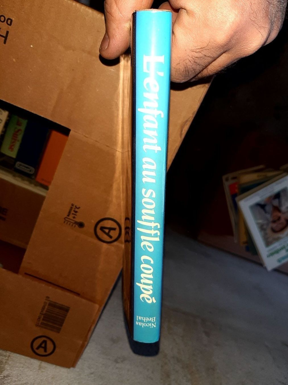 Libri: l'enfant au soufle coupe – Usato da Le locle venduto da juliensaran 1