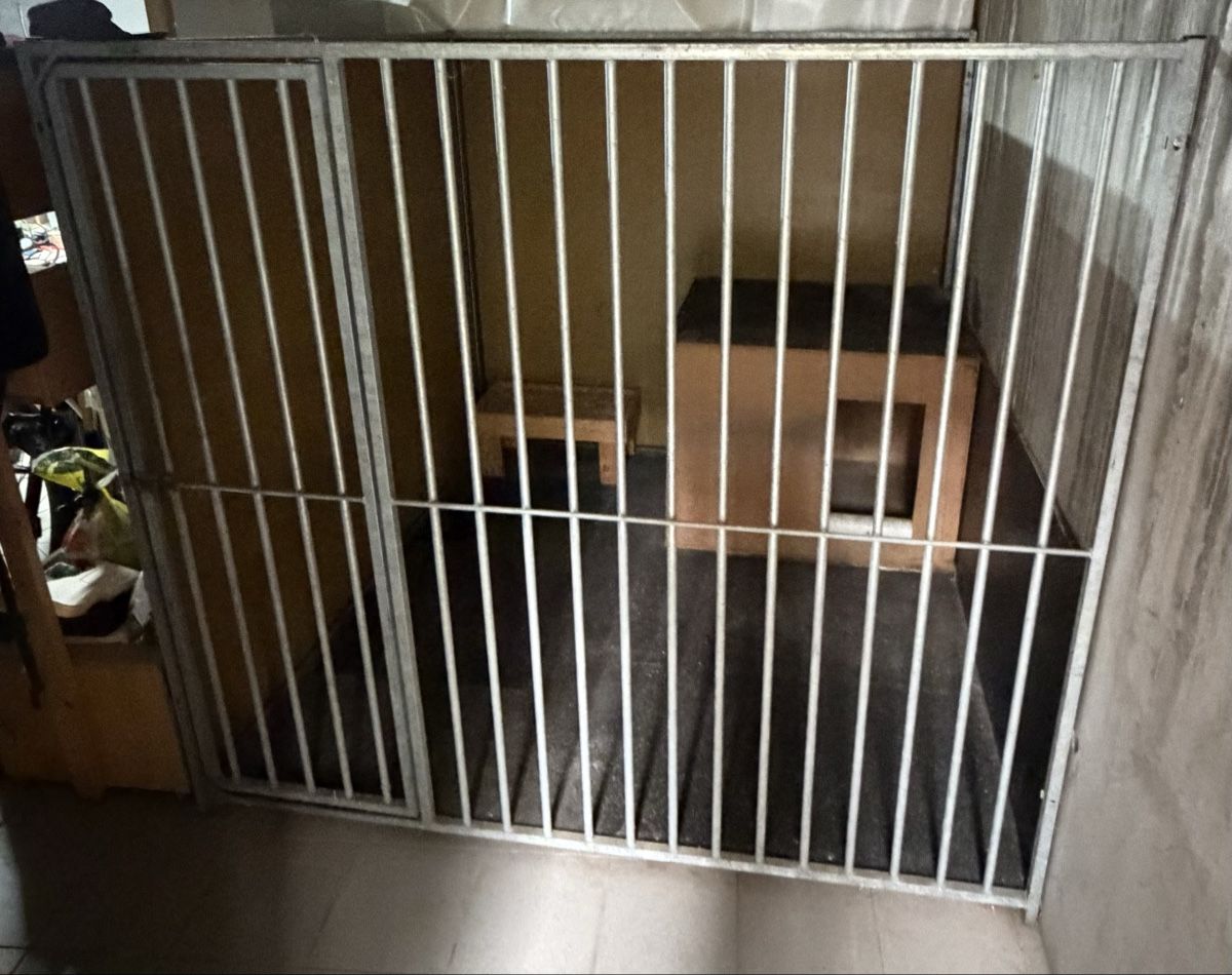 Box & Barriere di sicurezza: Hundezwinger mit Hütte – Usato da Domat/Ems venduto da 7013Carrera