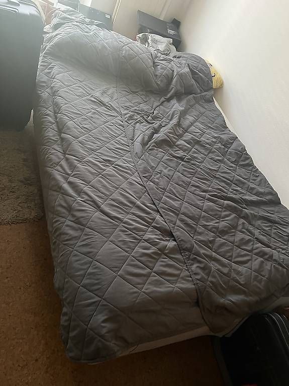 Divani: IKEA Schlafsofa / Bett (klappbar) – Usato da Basel venduto da HrvojeM