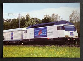 AK RE 460 037 5 Ajax Yvonand  VD