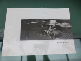 COLNAGO 2012 Velokatalog NEU - original verpackt --RARITÄT