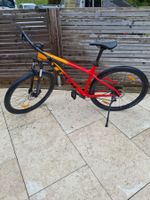 Trek Bike