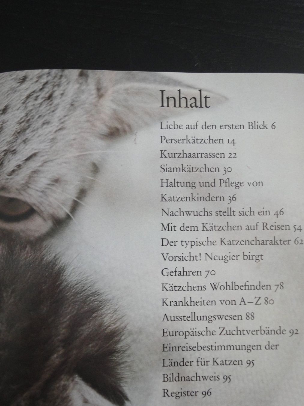 Livres: Junge Katzen in Farbe von Susanne Haisch – Neuf (Voir description) à Biel/Bienne par 07helios032 1
