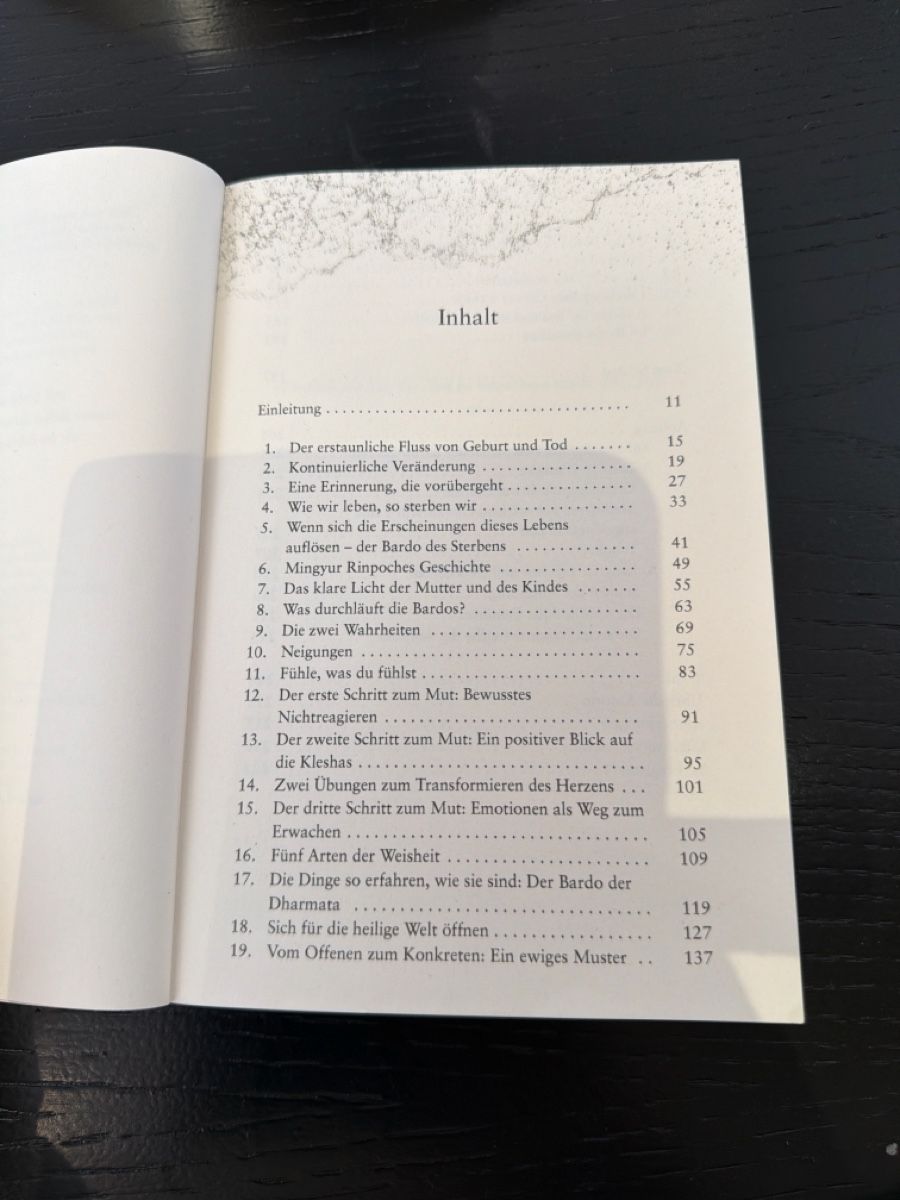 Bücher: Sterben Pema chödrön – Neu (gemäss Beschreibung) aus Däniken SO von NBdesign 2