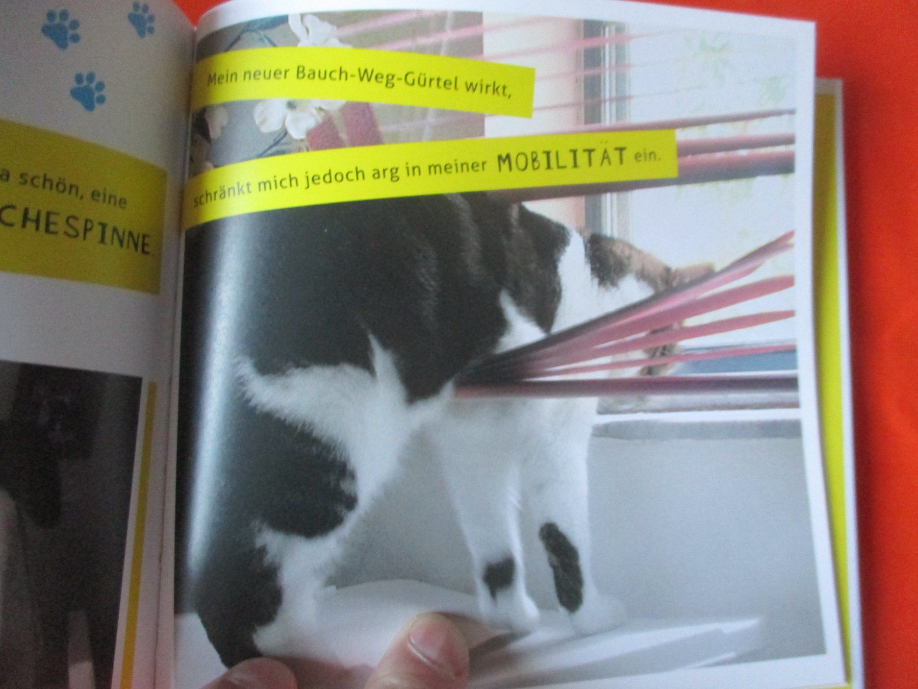 Livres: Buch, meine Katze ist ein A...... – D'occasion à Birsfelden par alles-muss-raus 1