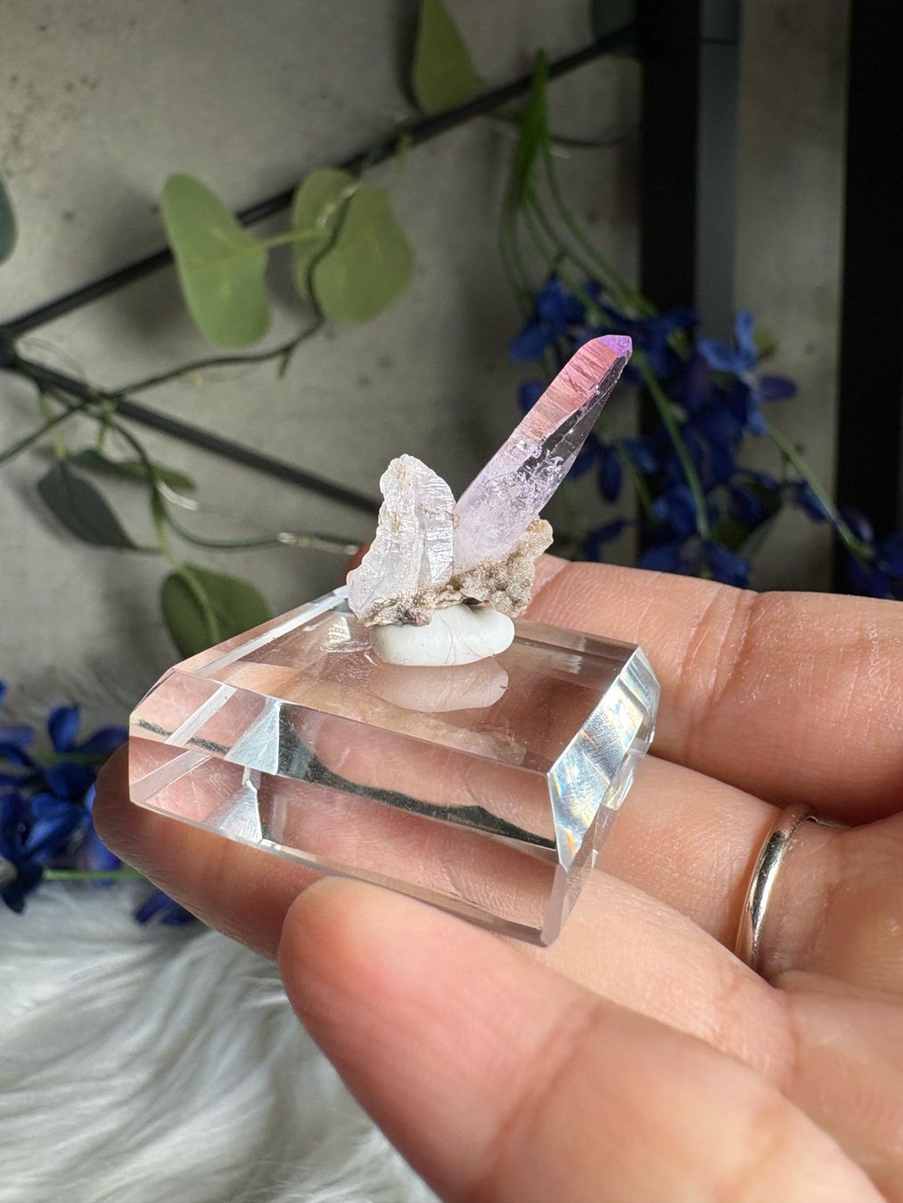 Pietre preziose: Veracruz Amethyst – Nuovo (secondo la descrizione) da Neuheim venduto da m.hald 6