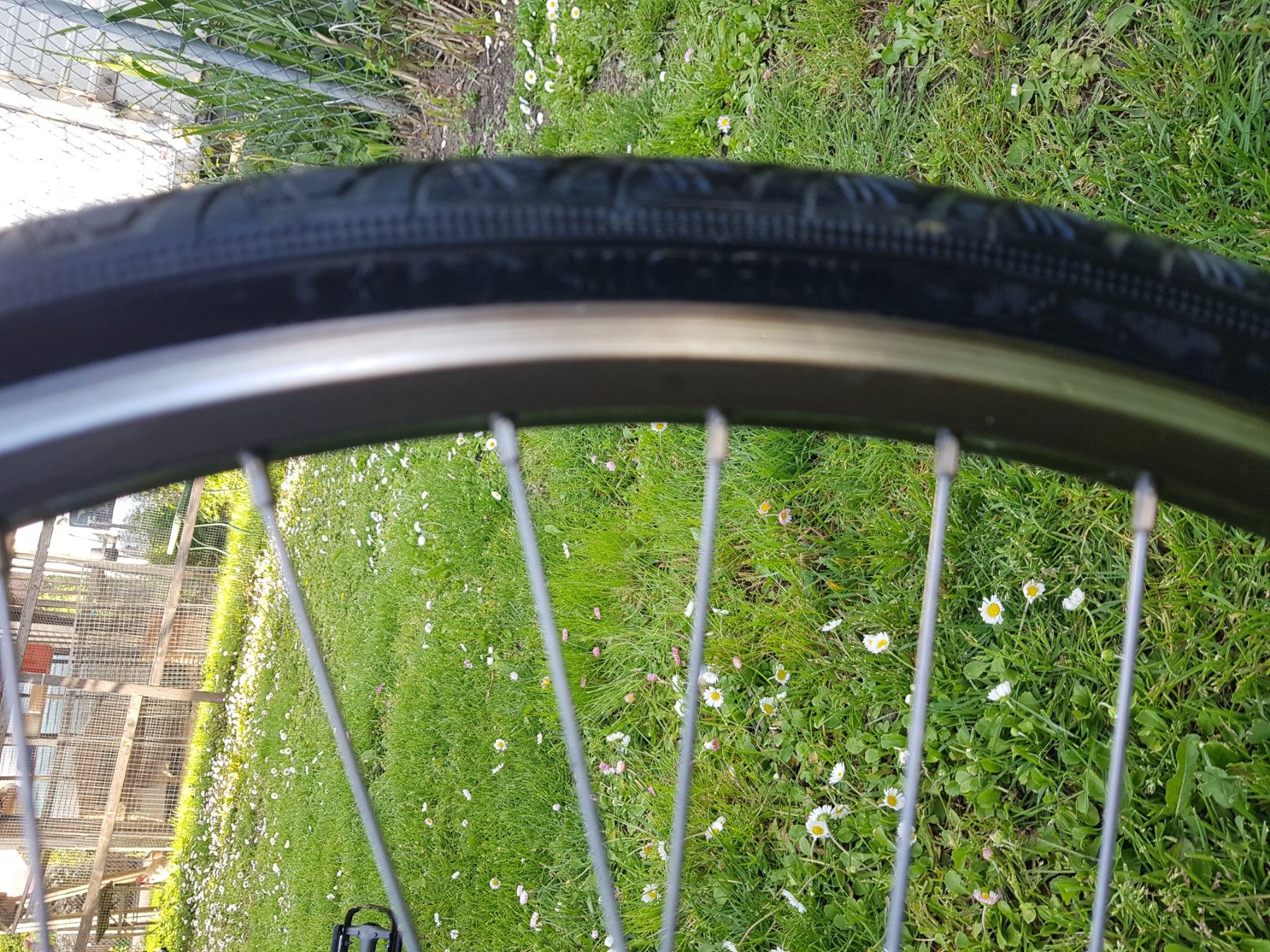 Skateboards: Monocycle Magic Wheel-Symbiose aus Einrad & Skateboard – Usato da Biel / bienne venduto da Sarouch9 5