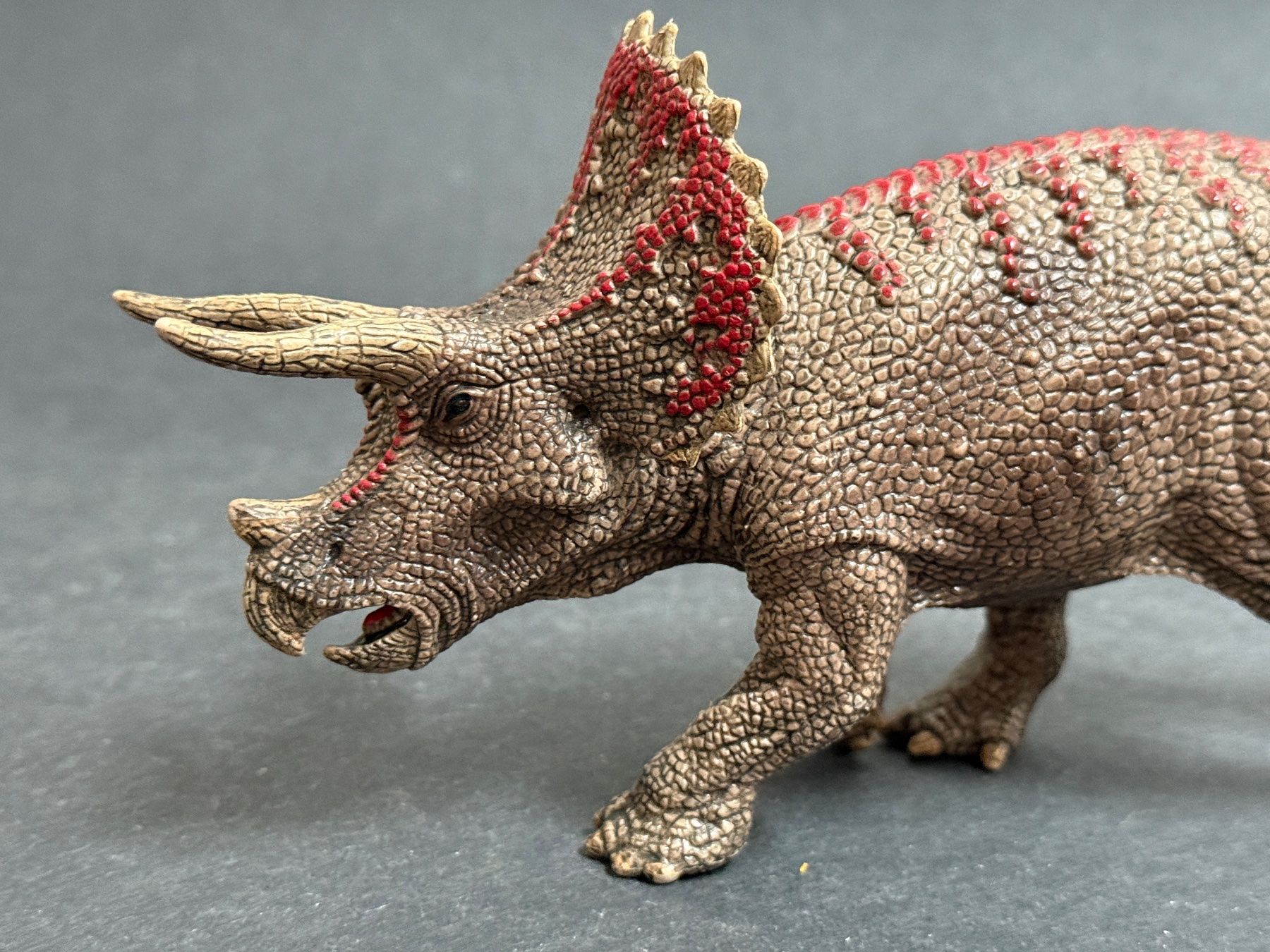 Schleich Statuette: Schleich Triceratops Dinosaurier Dino – Usato da Ennetbaden venduto da mapa05 2
