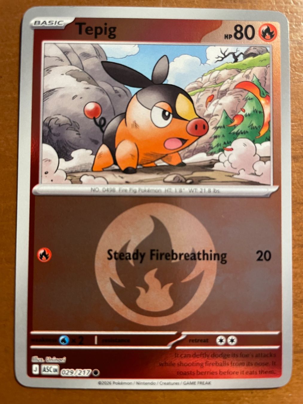Pokémon Cartes à collectionner: Pokemon Tepig Reverse (Versand gratis) – Neuf (Voir description) à Chur par Angerson