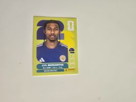 Panini WM 26 - CUW 16