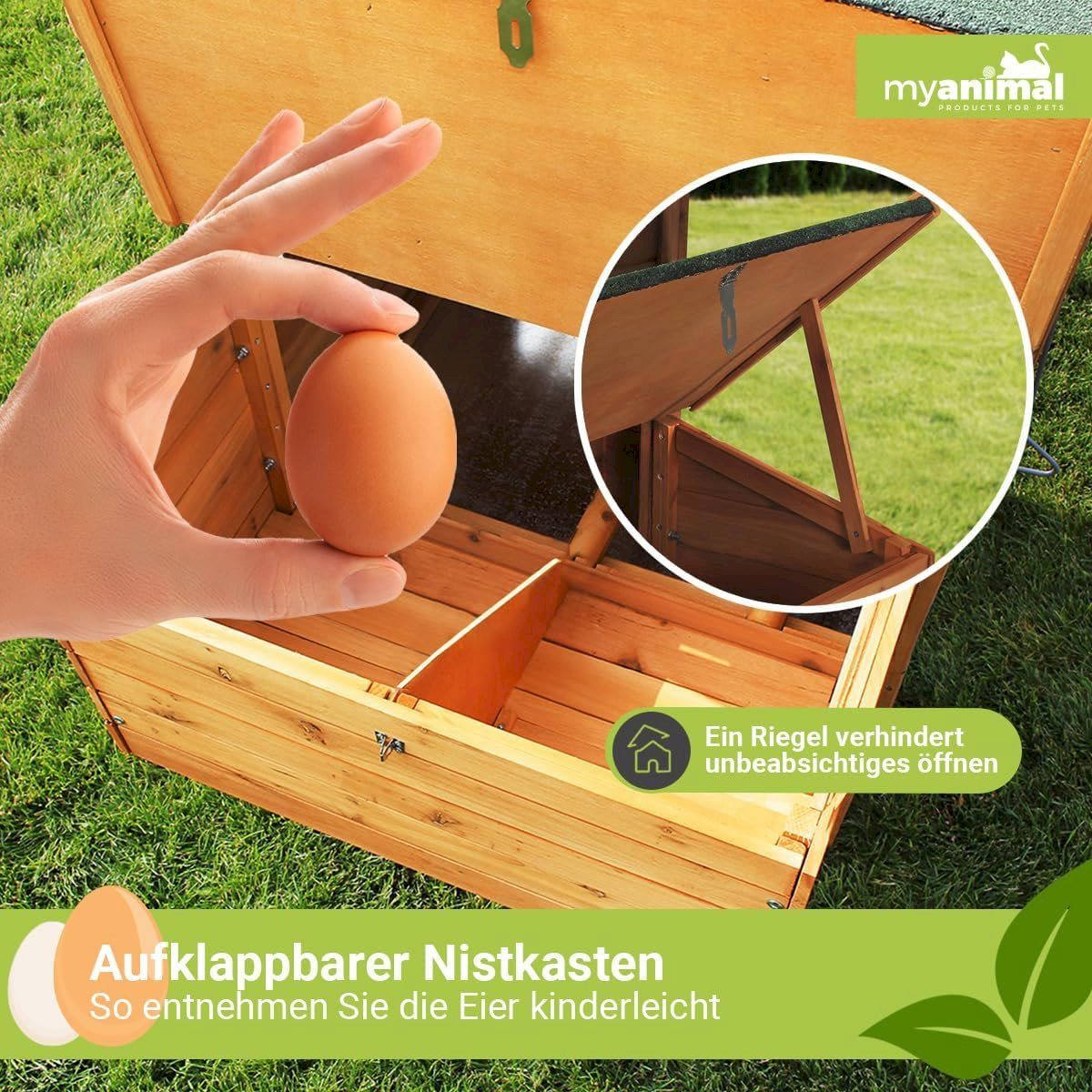 Gabbie, trasporto & Sicurezza: Hühnerstall für 4 Hühner Grau – Nuovo e nell'imballaggio originale da Bottighofen venduto da zaap 6