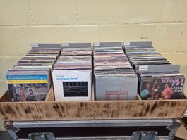 grosses Single Händlerlot /div. Zustand aber alle im Verkauf