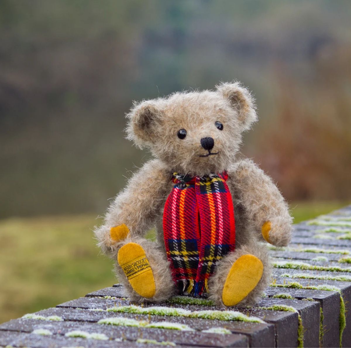 Bambole: Emmet Teddy Bär Merrythought – Nuovo (secondo la descrizione) da Emmenbrücke venduto da Steipler 6